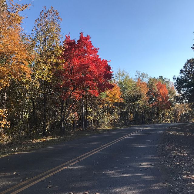 Upson County Georgia Economic Development